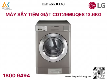 Máy sấy cho tiệm giặt 13.6kg coin type màu bạc CDT29 bằng điện