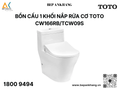 Bàn cầu một khối kèm nắp rửa cơ Ecowasher CW166RB TCW09S T53P100VR